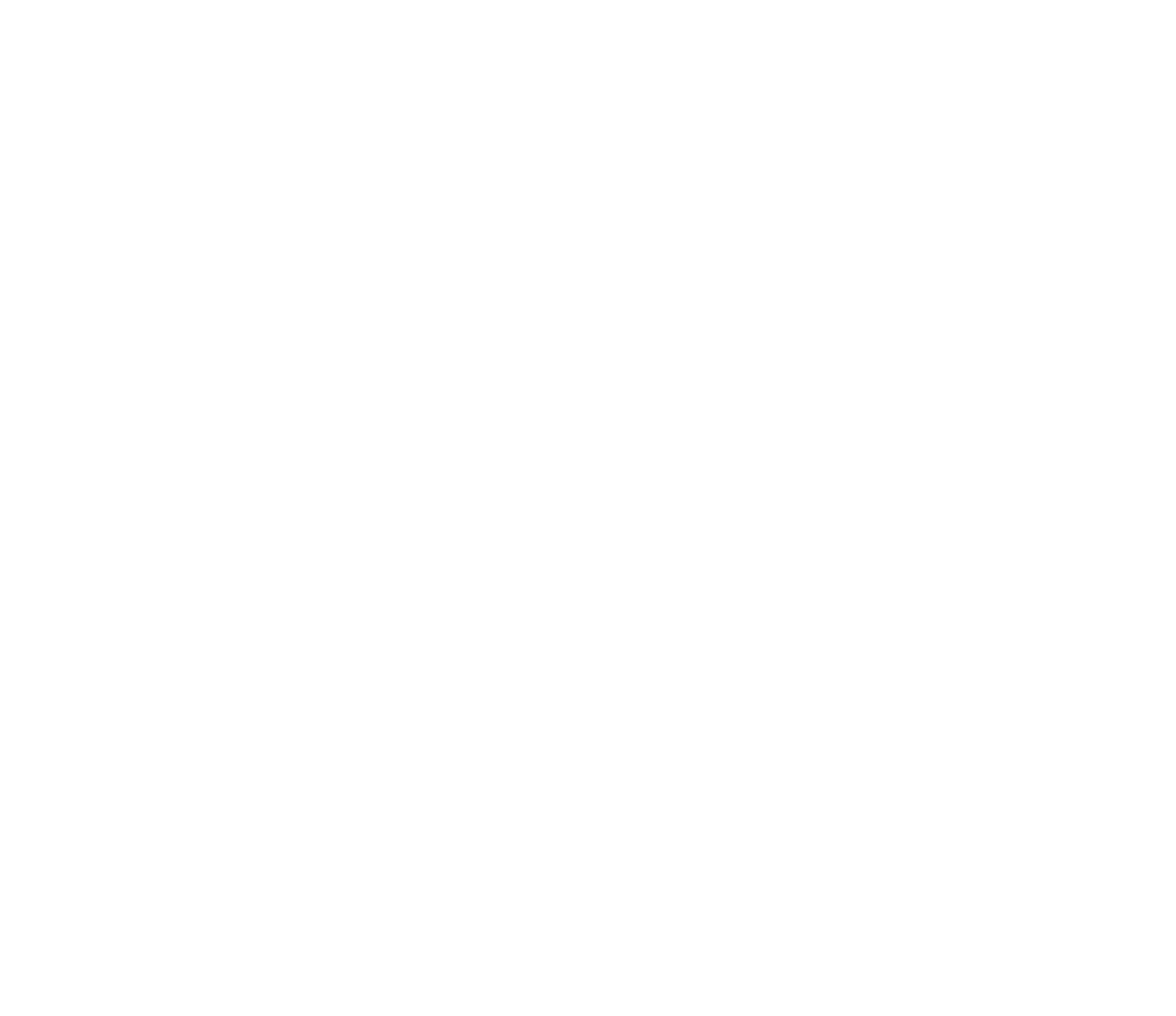 Airview Limo